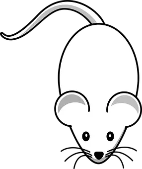 Affordable-Rodent-Control--in-La-Center-Washington-Affordable-Rodent-Control-1325600-image
