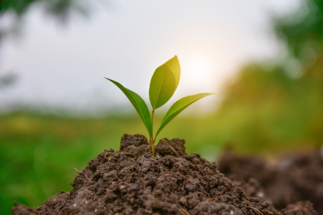 Environment-Friendly-Pest-Control-Formulas--in-Cascade-Locks-Oregon-Environment-Friendly-Pest-Control-Formulas-1327000-image