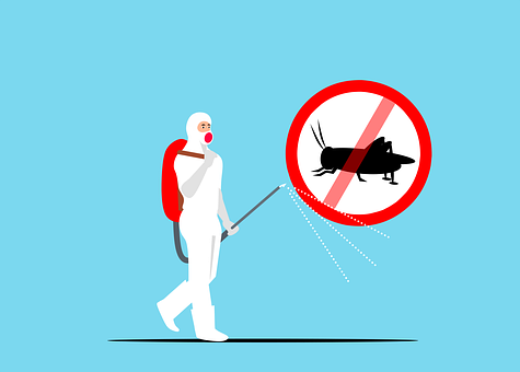Exterminators--in-La-Center-Washington-Exterminators-1327400-image