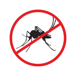 Pest-Control-Maintenance-Programs--in-Molalla-Oregon-Pest-Control-Maintenance-Programs-1329000-image