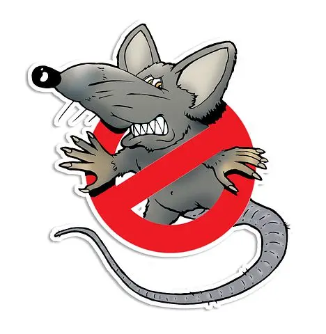 Rodent-Control--in-Blodgett-Oregon-Rodent-Control-1329400-image